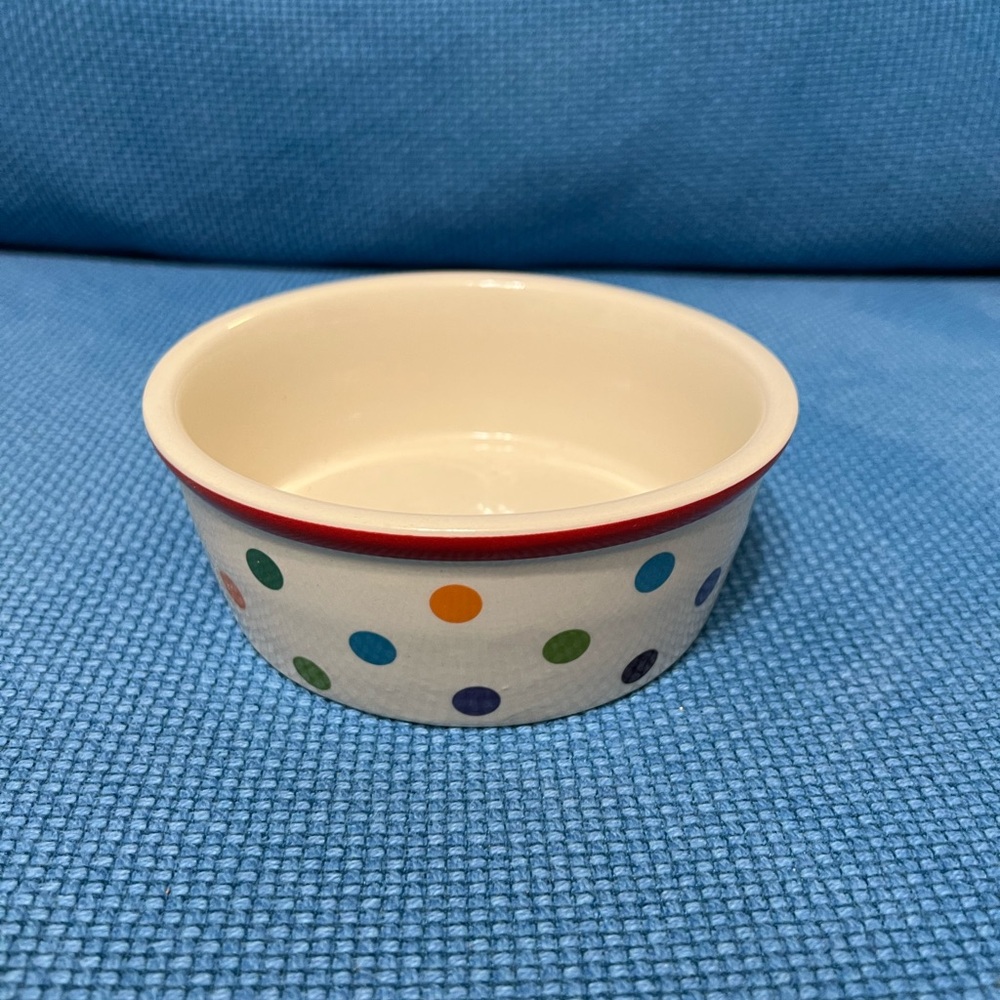 New Stoneware Pet Bowl